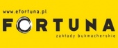 Fortuna Entertainment Group